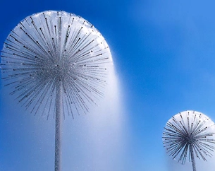 Why does Everyone Like Dandelion Fountains?